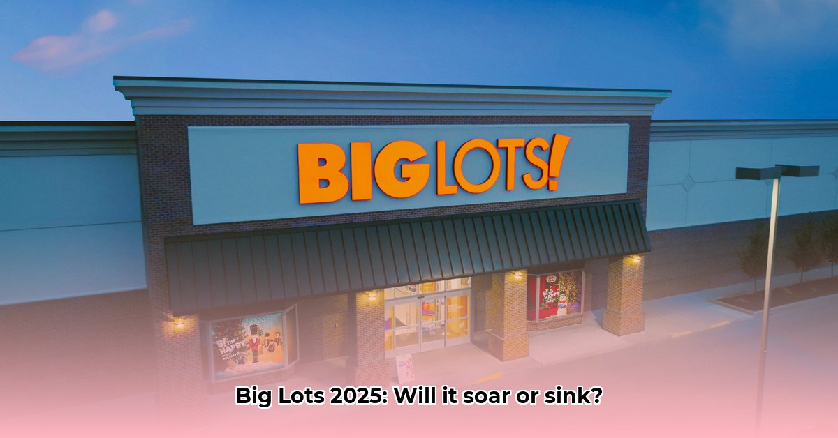 big-lots-stock-forecast-2025
